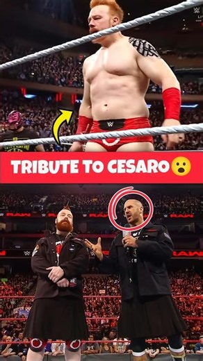 Did you notice Sheamus paying tribute to Cesaro on Raw?🤯 #wwe