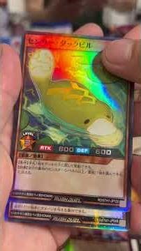 yu-gi-oh card game collection