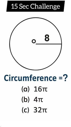 Find the Circumference! Can You Solve This Circle Puzzle?