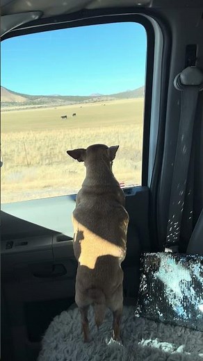 My POV driving my Class C RV#rvlife
