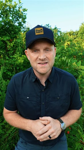 If a tree could smell like a breakfast cereal, this would be it. 🍊 The sassafras tree has one of the most recognizable scents in the forest — crush a leaf or twig, and you’ll get that Fruit Loops aroma instantly. 🌿 You can spot it by its three different leaf shapes on the same branch (mitten, glove, and oval), and its roots once flavored old-fashioned root beer! 🍺 It’s a classic of the eastern forests — a tree that smells like childhood, exploration, and nostalgia. #Sassafras #EverydayNatural