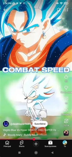 hyper shadic vs Vegito ssj blue