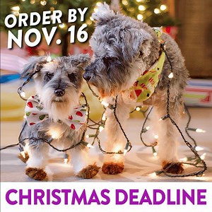 10K views · 998 reactions |  #ퟭ 헖헵헿헶혀혁헺헮혀 헚헶헳혁 헳헼헿 헣헲혁 헟헼혃헲헿혀  ...