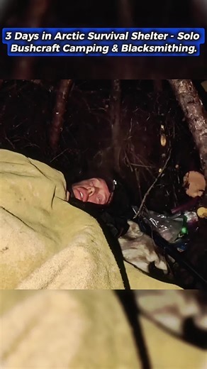 Surviving 3 Days Alone in an Arctic Bushcraft Shelter