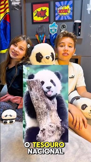 FUN FACTS ABOUT PANDAS - Rian Bora Lá