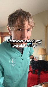 18K views · 555 reactions | 2 dogs suddenly started itching- 3 steps to treat at home and Stop Itching! #dogallergies #dogfood #petfood #allergy #dogskin #homeremedies | Daily Pet Tips | Facebook