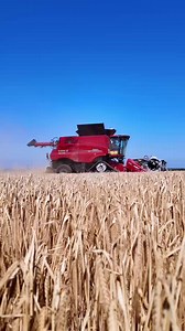 2.1K views · 41 reactions |  Check out this CASE IH Axial-Flow 8250 paired with a MacDon Industries Ltd. FD2 header hard at work in Louth! 料 Precision, performance, and productivity in action. #CaseIH #AxialFlow8250 #MacDonFD2 #Harvest2025 #SharmansMakesTheDifference #FarmingUK | Sharmans Agricultural Ltd | Facebook