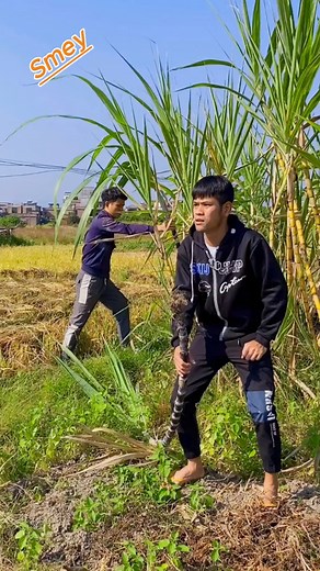 30K views · 419 reactions | The first time with my friend. #fblifestyle #viralchallenge #funnybrother | Two Brother FUN | Facebook