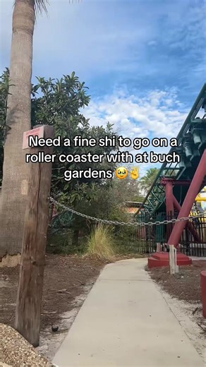 Seeking Roller Coaster Companion at Busch Gardens