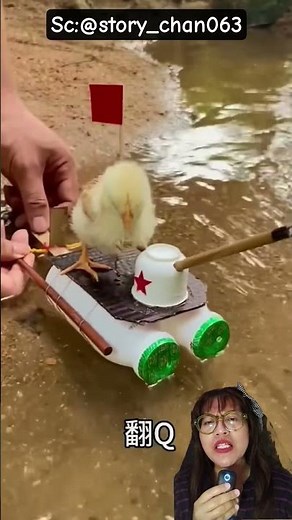 THE SHIP FOR THE LITTLE CHICKEN'S RETURN‼️@story_chan063