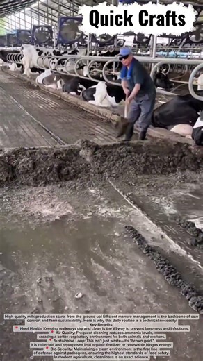 ​The Secret to High-Quality Milk: Dairy Farm Hygiene 🐄✨ #shorts