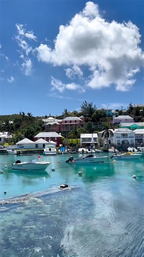 532K views · 2.9K reactions | Ladies and gentlemen... Flatts Village  It's no surprise Bermuda has been named the #1 Island in the Caribbean & Atlantic in the 2023 Condé Nast Traveler Readers’ Choice Awards! Let's bring it home again in 2024  Give us some love and vote for your favourite island: https://bit.ly/41xFRV4  IG: shaunmelady | #GoToBermuda #LostYetFound | Bermuda Tourism | Facebook