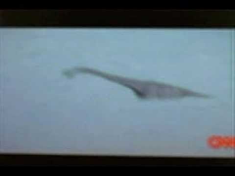 Amazing New Loch Ness Footage! With Sound!