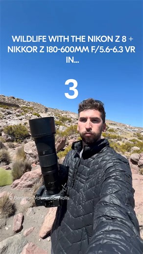 18K views · 373 reactions | Wildlife Incoming… Nikon Creator Benjamin Valenzuela Wallis captures the wild in vivid detail with the powerhouse duo: the Nikon Z 8 + NIKKOR Z 180-600mm f/5.6-6.3 VR— on sale this month! | Nikon | Facebook