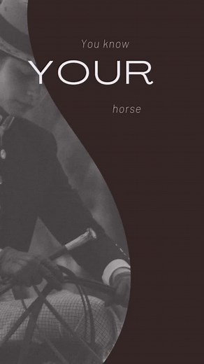 Most people think horse photography is only about beautiful portraits...