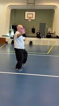 Laojia Yilu - Single whip to Punch towards ground.