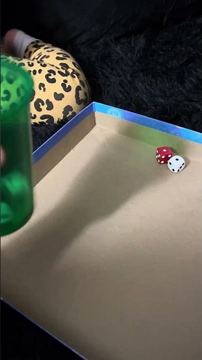 How to play Yahtzee