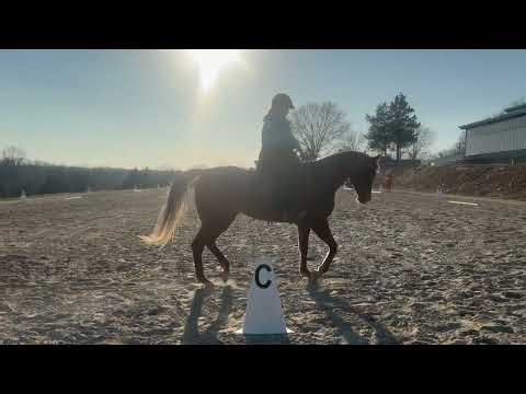 Alexis Bacon and Stars in Style WDAA basic level test 4 in North 40 03/26