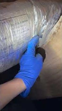 Subterranean Termites