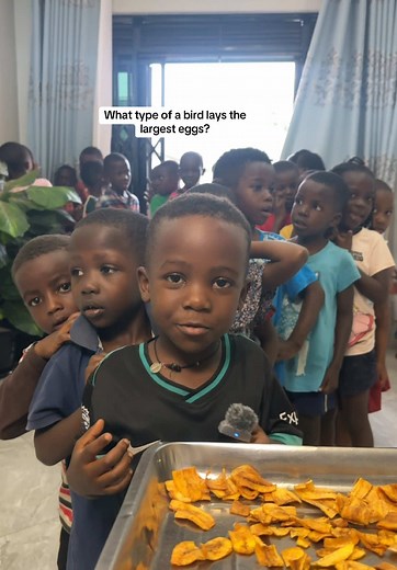 Engaging Quiz for Kids to Boost Knowledge