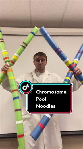 Exploring Genetics: Understanding Chromosomes and Cells