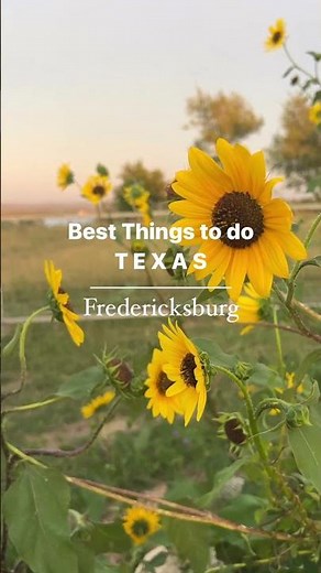 BEST Things to Do in Texas - Fredericksburg