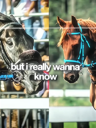 Duo KHS nih🔥🔥 King Argentin dan Princess Gavi adalah duo kuat dari King Halim Stable dengan gaya balap yang saling melengkapi; King Argentin dikenal sabar lalu meledak di akhir dengan stamina kuat hingga sukses meraih Triple Crown dan juara Indonesia Derby 2025, sementara Princess Gavi lebih eksplosif dengan akselerasi tajam di fase akhir, mendominasi race sprint seperti Pertiwi Cup dan Super Sprint serta sempat memberi perlawanan ketat di Derby, membuat keduanya jadi kombinasi mematikan di li