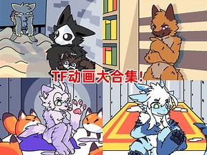 Changed special TF collection (Complete collection from big warehouse to chessboard!) #changed