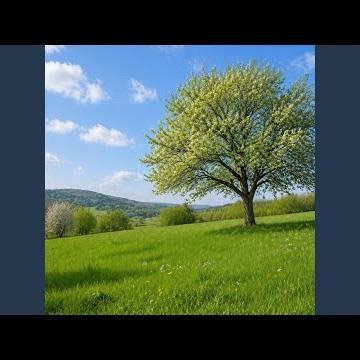 Spring dream
