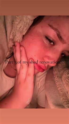 Shed Renovation Progress: Part 3 Update