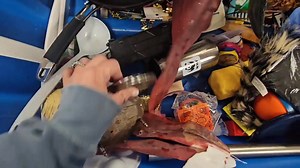 81K views · 1.8K reactions | Y’all, the Nashville Goodwill Bins had me in thrift heaven the first time I went. I found so many amazing vintage pieces, home decor, and unique treasures. But then… I made the mistake of going back a second time  | Julie's Designs & Signs | Facebook