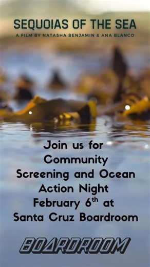 Sequoias of the Sea on Instagram: "Film. Tacos. Ocean stoke. 🌊🌮 Join us for Sequoias of the Sea — a community screening and conversation about California’s kelp forests, the “redwoods of the ocean.” This award-winning documentary explores the beauty, importance, and growing vulnerability of kelp ecosystems along our coast. Over the last decade, California’s North Coast has lost an estimated 95% of its kelp forests. Through powerful storytelling, the film follows scientists, Indigenous leaders,