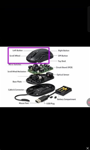 माउस के सभी Parts के बारे में सब कुछ जानकारी