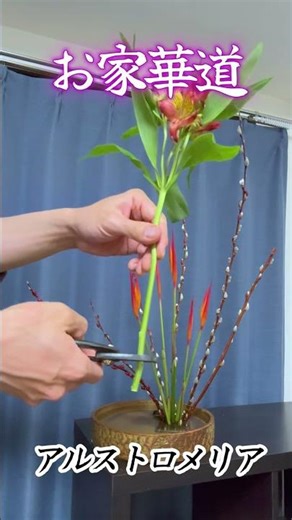 赤芽柳、銀芽柳、ヘリコニア、アルストロメリア、チューリップ、スイートピー #華道 #生け花 #flowerarrangement