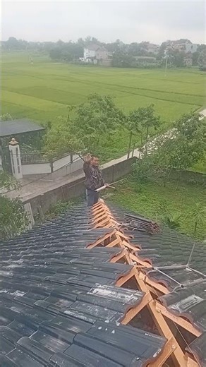 cô lên anh em oi
