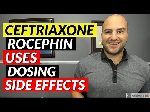Ceftriaxone (Rocephin) - Pharmacist Review - Uses, Dosing, Side Effects