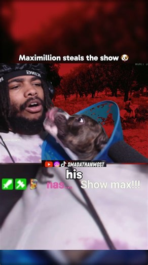 Smada's Dog Max Steals the Show!?