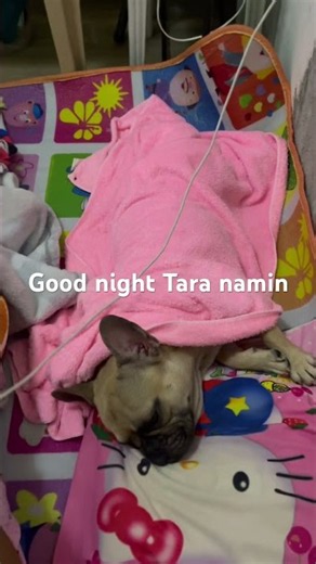 Good night TARA