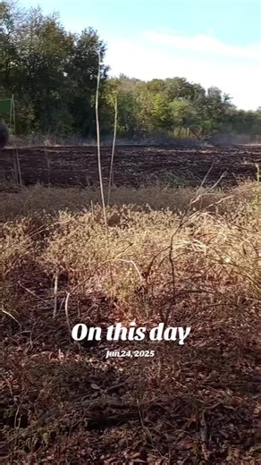 Creative Workplace Strategies for Productivity