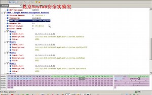 协议分析系列：应用层之SNMP