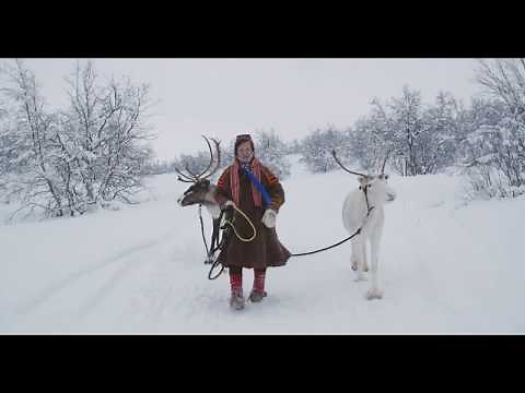 Northern lights story by a Sami reindeer herder | Visit Norway