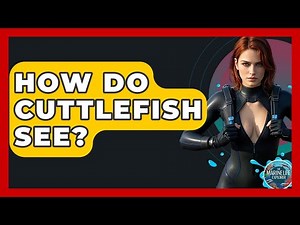 How Do Cuttlefish See? - The Marine Life Explorer