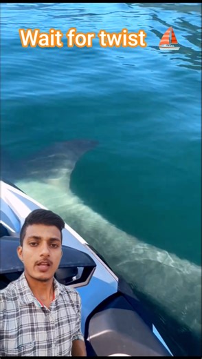 disabled duckling helps his cat friend sea boating ⛵#DuckRescue​ #CuteAnimal​ #AnimalRescue​