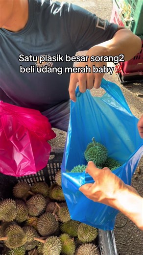 addin.zubir (@addin.zubir)’s videos with bunyi asal - pipshunterz7 - Piphunterz7