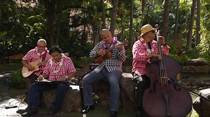 Hawaiian Music Hall of Fame - Lei of Stars | KHON2 News