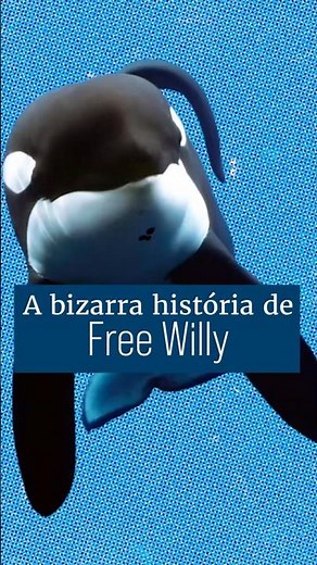 The true story of Free Willy: Did Keiko die alone?