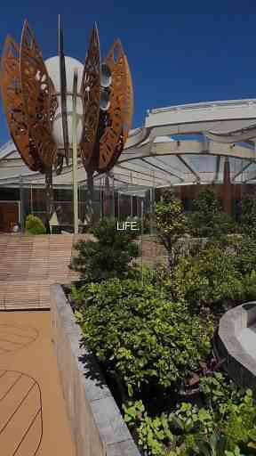 Take A Quick Tour Of Celebrity Apex, A Premium Cruise Experience