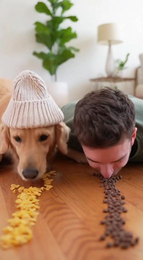 Cornflakes vs Cocoa Puffs Dog vs Human – The Cereal Showdown! 🏁🐕🍽️**#CerealBattle #GoldenRetriever #FoodCompetition #CocoaPuffs #CornflakesChallenge #DogVsHuman #SnackOff #FunnyPets #ViralPets #PetHumor #petlovers #petprank #MustWatch | Rescue Watch