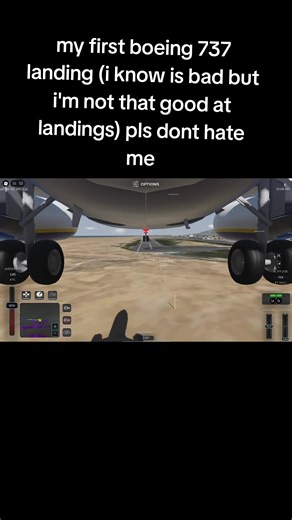 My First Boeing 737 Landing Experience