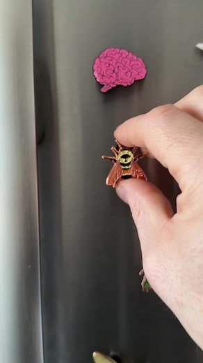 Deciphering the Mystery of Magnets